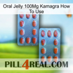 Oral Jelly 100Mg Kamagra How To Use 05